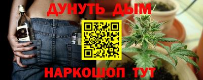 2c-b Гатчина