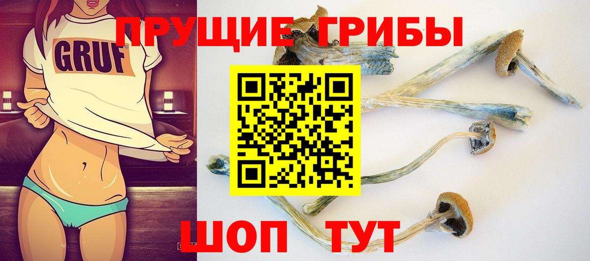 Усть-Илимск  Псилоцибиновые грибы Magic Shrooms  Вход с VPN  Галлюциногенные грибы Psilocybe 