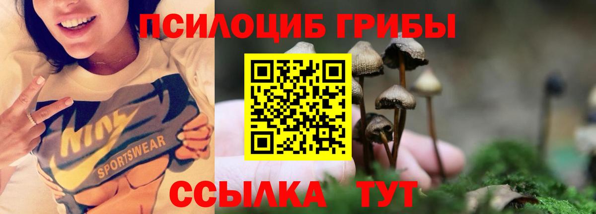 Галлюциногенные грибы Psilocybine cubensis Усть-Илимск